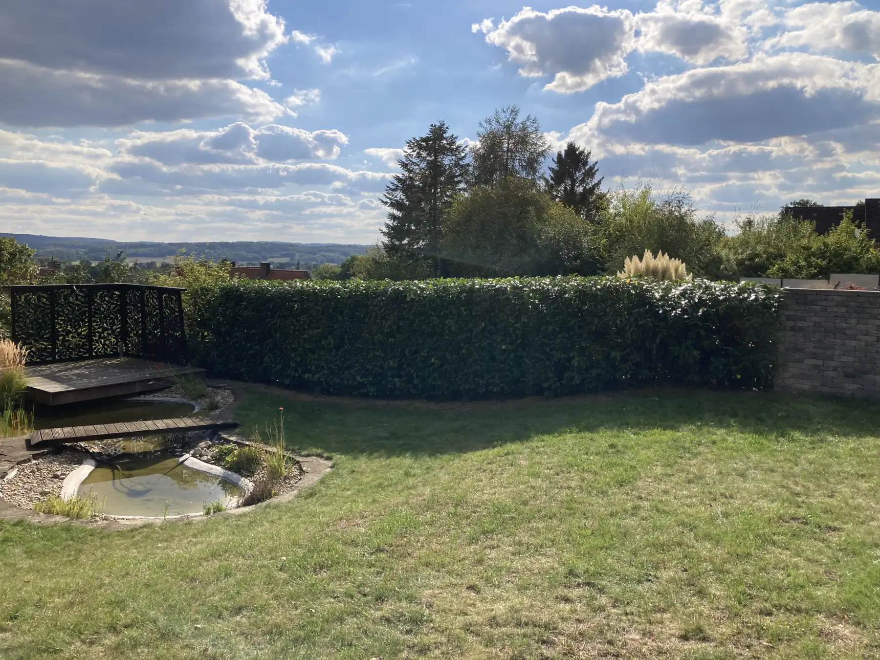 Hecke schneiden